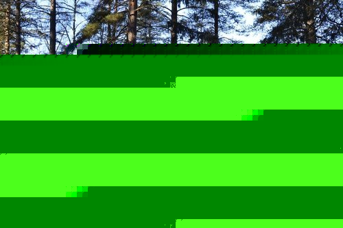 Hautausmaa Hautausmaa
